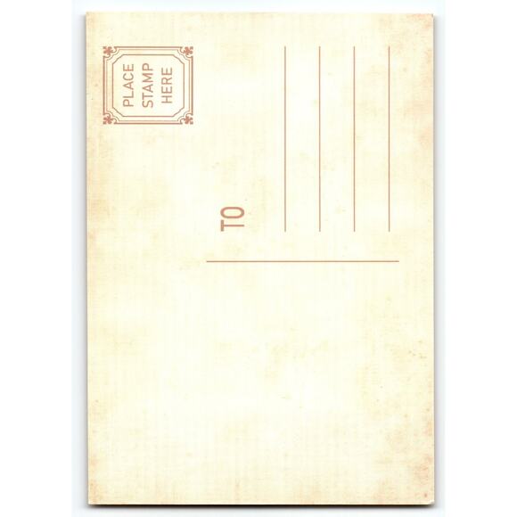 Vintage Halloween Skeleton & Pumpkins Orange Photochrome Postcard - Picture 2 of 2